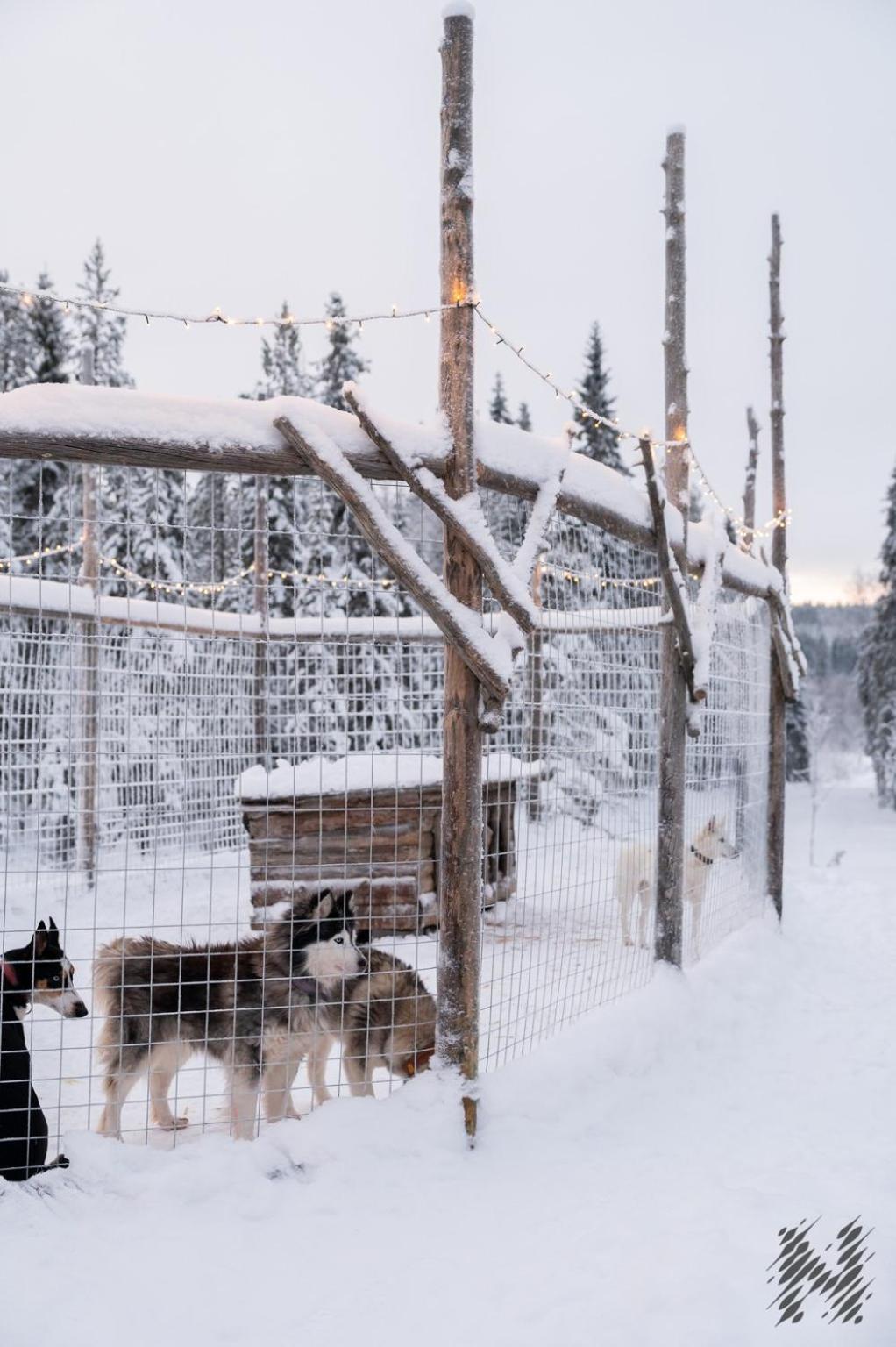 Nova Galaxy Village Rovaniemi Exterior photo
